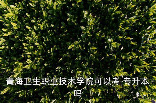 青海衛(wèi)生職業(yè)技術(shù)學(xué)院可以考 專(zhuān)升本嗎
