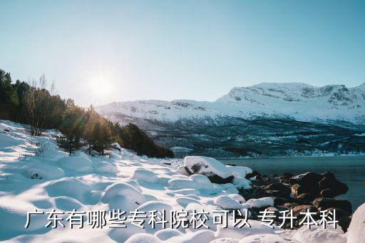 廣東有哪些?？圃盒？梢?專升本科
