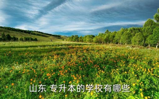 山東 專升本的學校有哪些