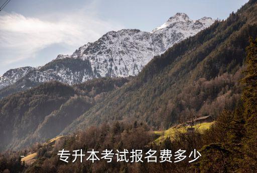  專升本考試報名費多少