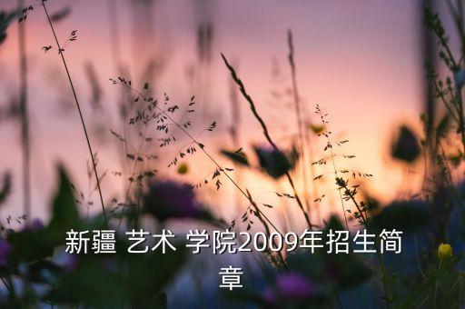 新疆藝術學院專升本