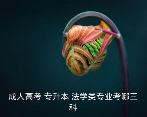 成人高考 專升本 法學類專業(yè)考哪三科