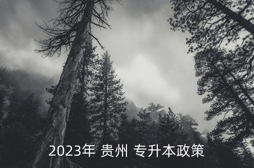2023年 貴州 專(zhuān)升本政策