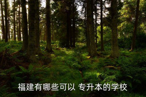 福建有哪些可以 專(zhuān)升本的學(xué)校
