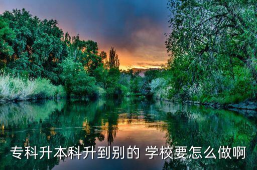 ?？粕究粕絼e的 學校要怎么做啊