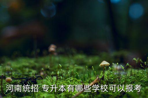 河南統(tǒng)招 專升本有哪些學(xué)校可以報(bào)考