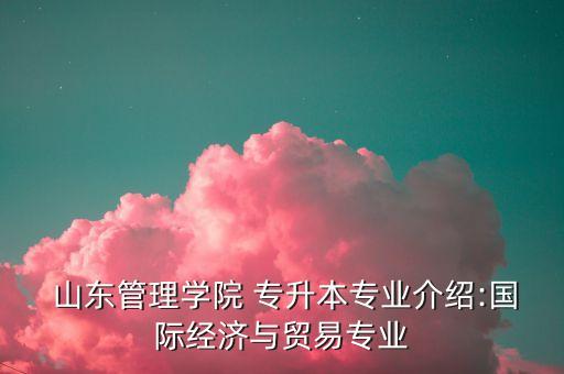  山東管理學(xué)院 專升本專業(yè)介紹:國際經(jīng)濟與貿(mào)易專業(yè)
