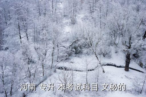 河南 專(zhuān)升 本考試科目 文秘的