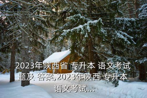 2023年陜西省 專升本 語(yǔ)文考試題及 答案,2023年陜西 專升本 語(yǔ)文考試...