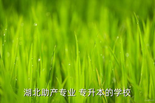 湖北助產(chǎn)專業(yè) 專升本的學校
