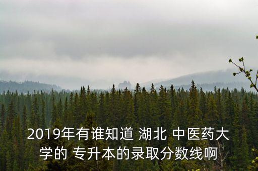 湖北中醫(yī)藥高等學校有專升本嗎,湖北普通高等學校專升本