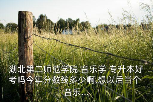 湖北第二師范學(xué)院 音樂學(xué) 專升本好考嗎今年分?jǐn)?shù)線多少啊,想以后當(dāng)個 音樂...