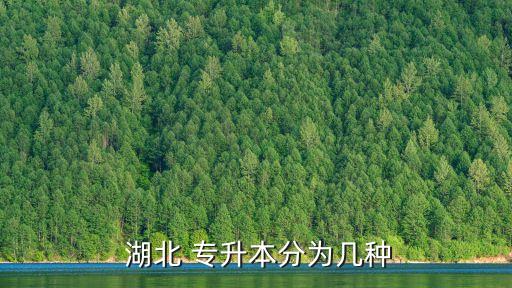  湖北 專升本分為幾種
