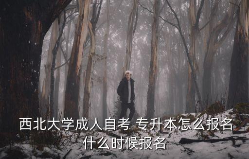  西北大學成人自考 專升本怎么報名什么時候報名