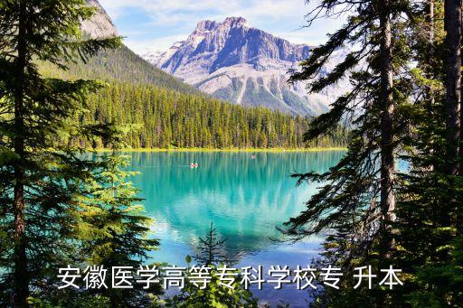 安徽醫(yī)學高等?？茖W校專 升本