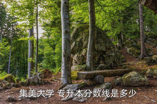 集美大學(xué) 專(zhuān)升本分?jǐn)?shù)線(xiàn)是多少
