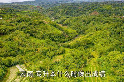  云南 專升本什么時(shí)候出成績