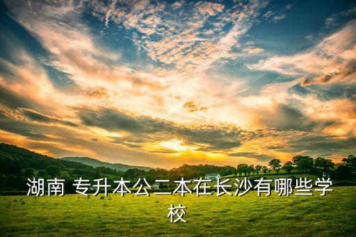 湖南專升本的本科大學(xué)有哪些專業(yè)學(xué)校,湖南計算機應(yīng)用技術(shù)專升本對口本科大學(xué)