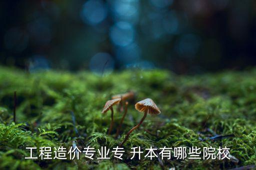 工程造價專業(yè)專 升本有哪些院校