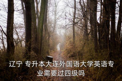  遼寧 專升本大連外國語大學(xué)英語專業(yè)需要過四級嗎