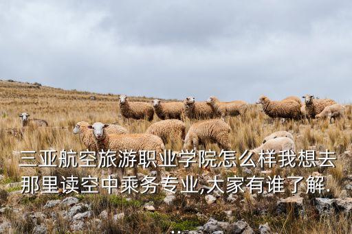 三亞航空旅游職業(yè)學院怎么樣我想去那里讀空中乘務專業(yè),大家有誰了解...