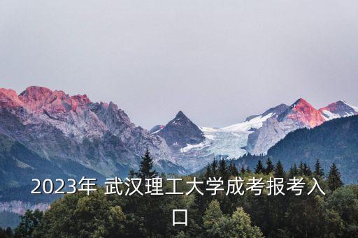 2023年 武漢理工大學(xué)成考報(bào)考入口