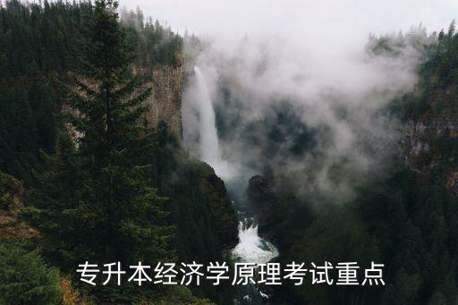  專升本經濟學原理考試重點