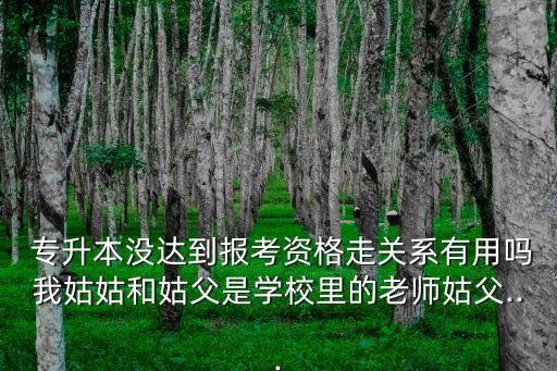  專升本沒達(dá)到報(bào)考資格走關(guān)系有用嗎我姑姑和姑父是學(xué)校里的老師姑父...