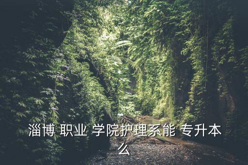  淄博 職業(yè) 學(xué)院護(hù)理系能 專(zhuān)升本么