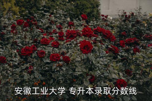 藍(lán)田縣振興計(jì)劃專(zhuān)升本,專(zhuān)升本 振興計(jì)劃