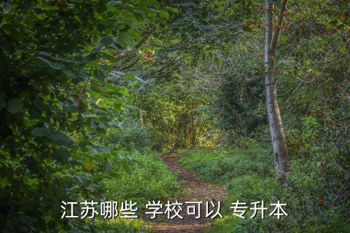 江蘇哪些 學(xué)?？梢?專升本