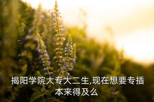  揭陽學(xué)院大專大二生,現(xiàn)在想要專插本來得及么
