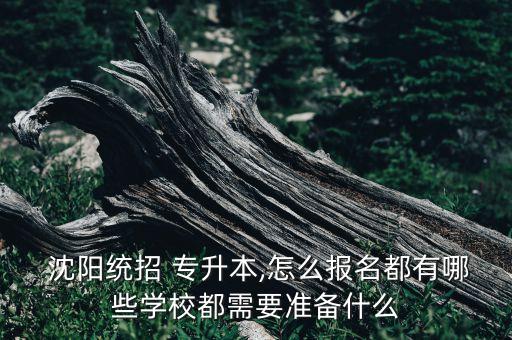  沈陽統(tǒng)招 專升本,怎么報名都有哪些學(xué)校都需要準備什么