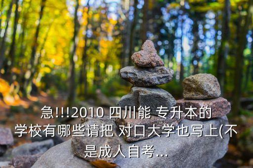 急!!!2010 四川能 專升本的學校有哪些請把 對口大學也寫上(不是成人自考...