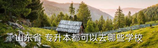 山東省 專升本都可以去哪些學(xué)校