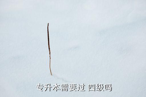  專升本需要過 四級嗎