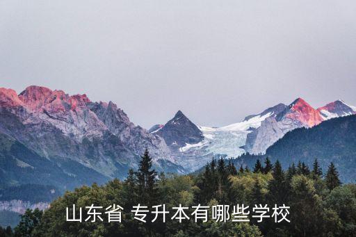 山東省 專升本有哪些學校