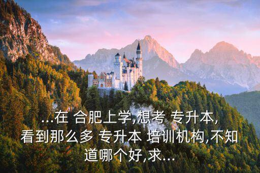 ...在 合肥上學(xué),想考 專升本,看到那么多 專升本 培訓(xùn)機(jī)構(gòu),不知道哪個(gè)好,求...