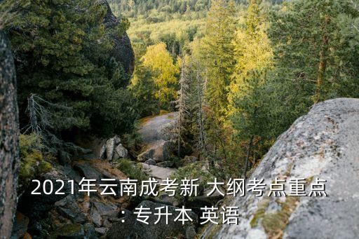 2021年云南成考新 大綱考點(diǎn)重點(diǎn): 專(zhuān)升本 英語(yǔ)