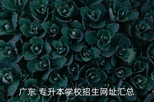 廣東 專升本學校招生網址匯總