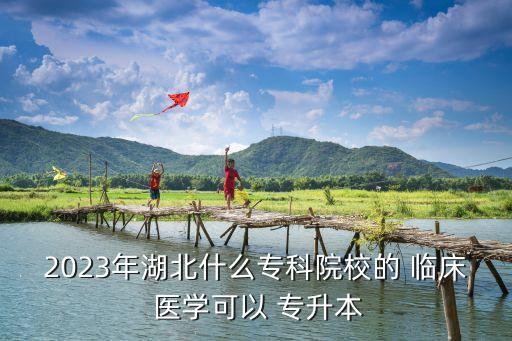 2023年湖北什么?？圃盒５?臨床 醫(yī)學(xué)可以 專升本