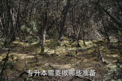  專(zhuān)升本需要做哪些準(zhǔn)備