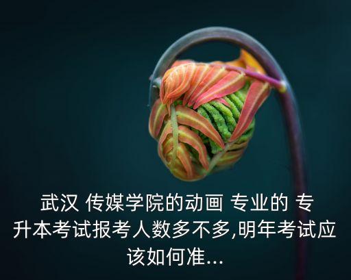  武漢 傳媒學(xué)院的動畫 專業(yè)的 專升本考試報(bào)考人數(shù)多不多,明年考試應(yīng)該如何準(zhǔn)...