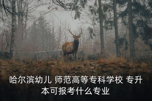 哈爾濱幼兒 師范高等?？茖W(xué)校 專升本可報(bào)考什么專業(yè)