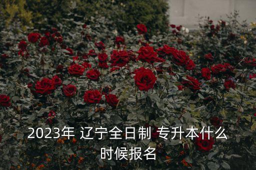 2023年 遼寧全日制 專升本什么時(shí)候報(bào)名
