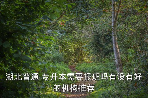 湖北普通 專升本需要報(bào)班嗎有沒(méi)有好的機(jī)構(gòu)推薦
