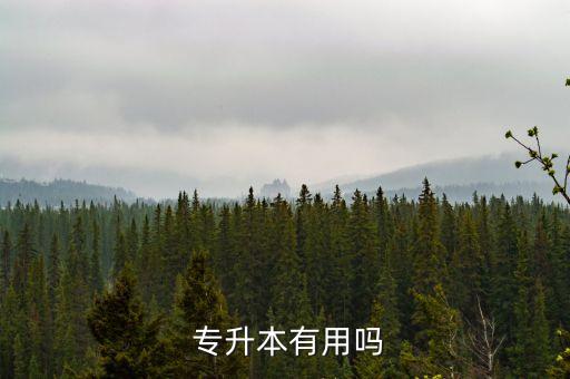 關(guān)于專升本的問(wèn)題,咨詢專升本應(yīng)該怎么咨詢