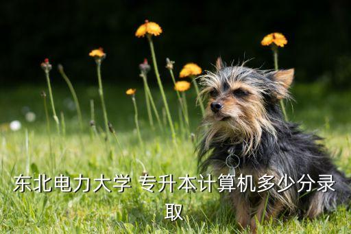 東北電力大學(xué) 專升本計算機多少分錄取