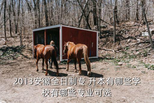 安農(nóng)大專升本會計,河北農(nóng)大專升本會計