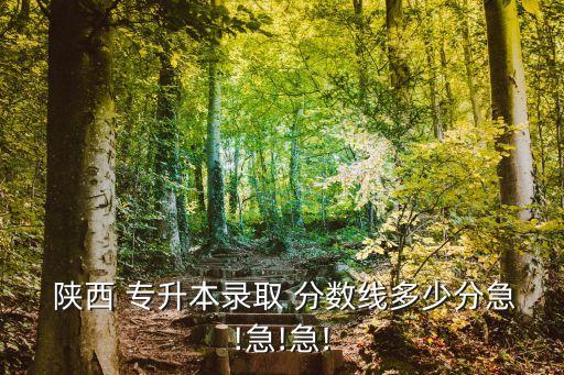  陜西 專升本錄取 分?jǐn)?shù)線多少分急!急!急!